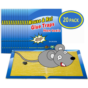trampa adhesiva para ratones